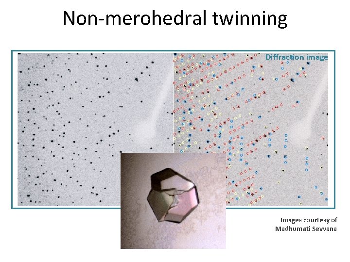 Non-merohedral twinning Diffraction image Images courtesy of Madhumati Sevvana 