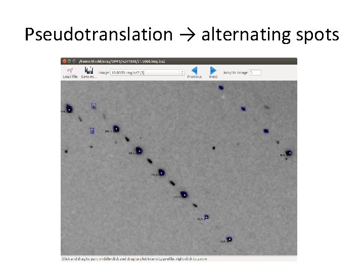 Pseudotranslation → alternating spots 