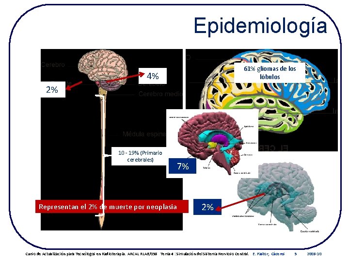Epidemiología 61% gliomas de los lóbulos 4% 2% 10 - 19% (Primario cerebrales) Representan
