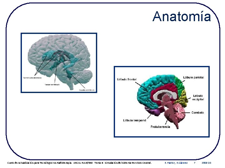 Anatomía Curso de Actualización para Tecnólogos en Radioterapia. ARCAL RLA 6/058 Tema 4 :