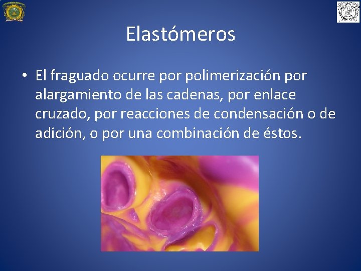 Elastómeros • El fraguado ocurre por polimerización por alargamiento de las cadenas, por enlace