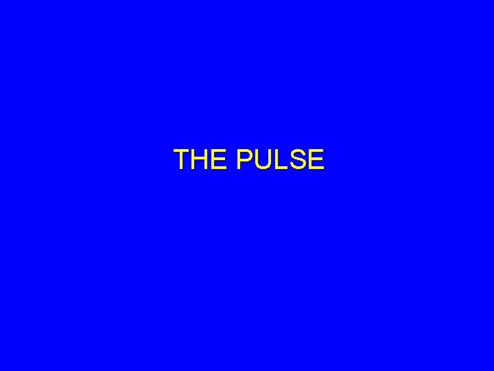 THE PULSE 