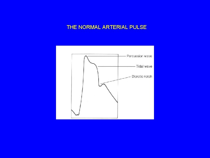 THE NORMAL ARTERIAL PULSE 