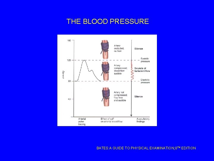 THE BLOOD PRESSURE BATES: A GUIDE TO PHYSICAL EXAMINATION; 8 TH EDITION 
