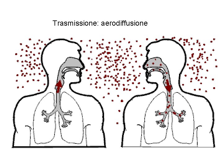 Trasmissione: aerodiffusione 