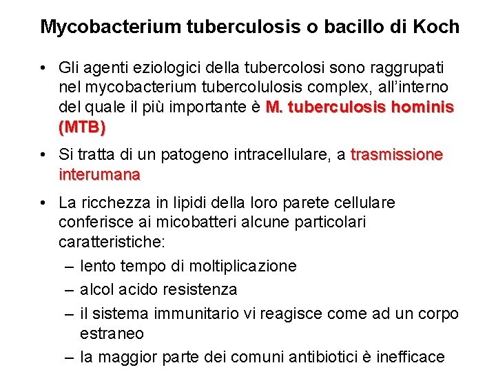 Mycobacterium tuberculosis o bacillo di Koch • Gli agenti eziologici della tubercolosi sono raggrupati
