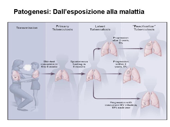 Patogenesi: Dall’esposizione alla malattia 