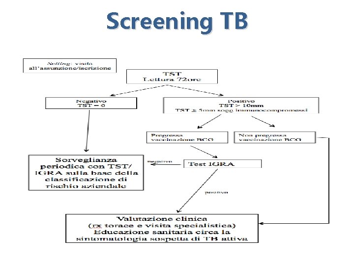 Screening TB 