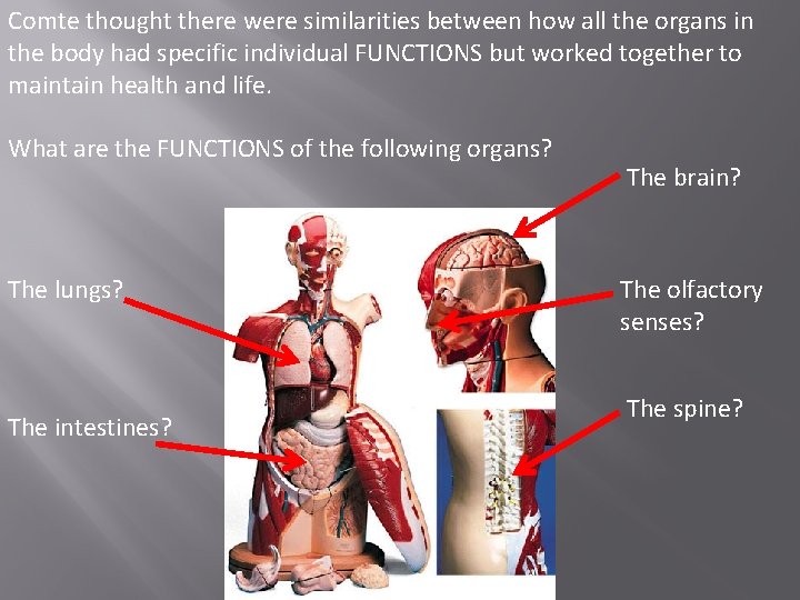 Comte thought there were similarities between how all the organs in the body had