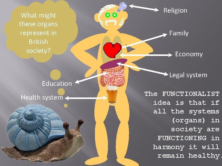 What might these organs represent in British society? Education Health system Religion Family Economy