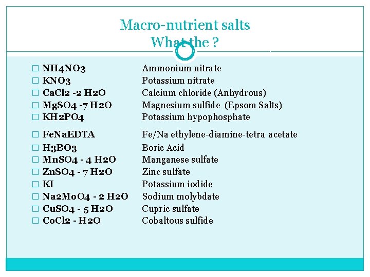 Macro nutrient salts What the ? � NH 4 NO 3 � KNO 3