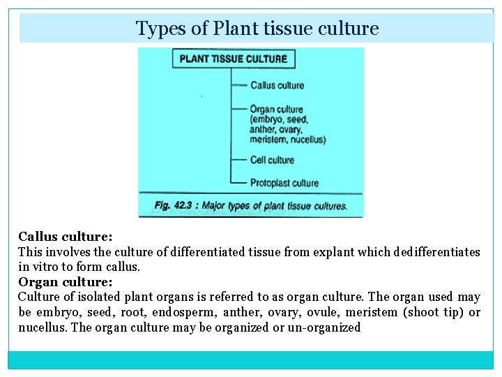 Types of Plant tissue culture Callus culture: This involves the culture of differentiated tissue