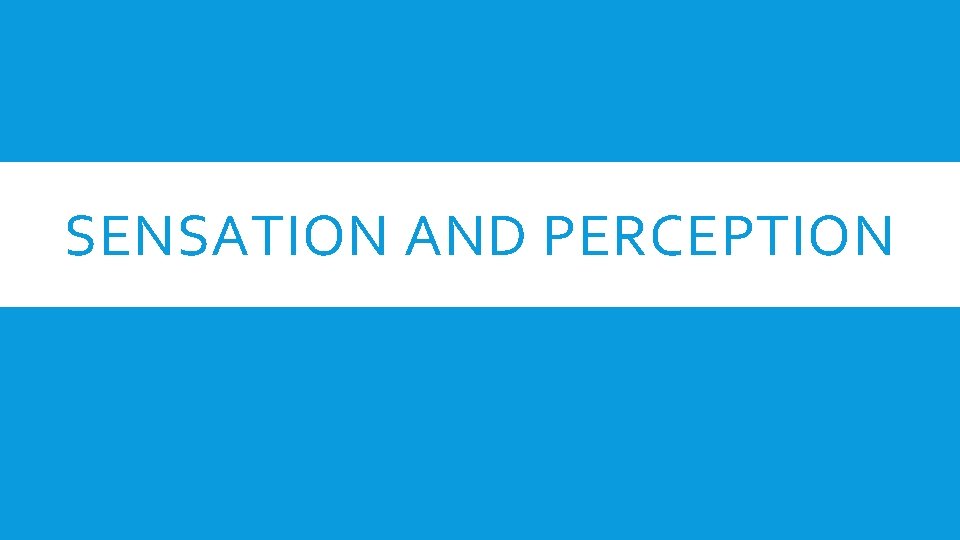 SENSATION AND PERCEPTION SENSATION AND PERCEPTION