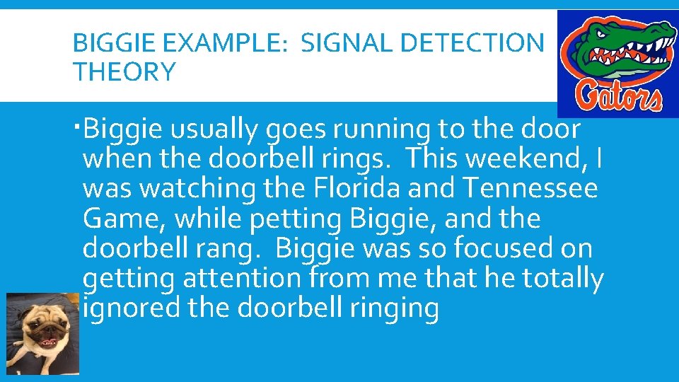 BIGGIE EXAMPLE: SIGNAL DETECTION THEORY Biggie usually goes running to the door when the BIGGIE EXAMPLE: SIGNAL DETECTION THEORY Biggie usually goes running to the door when the