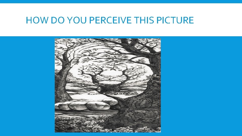 HOW DO YOU PERCEIVE THIS PICTURE HOW DO YOU PERCEIVE THIS PICTURE
