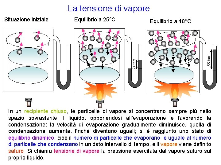 La tensione di vapore Equilibrio a 25°C 55 torr Equilibrio a 40°C 24 torr La tensione di vapore Equilibrio a 25°C 55 torr Equilibrio a 40°C 24 torr