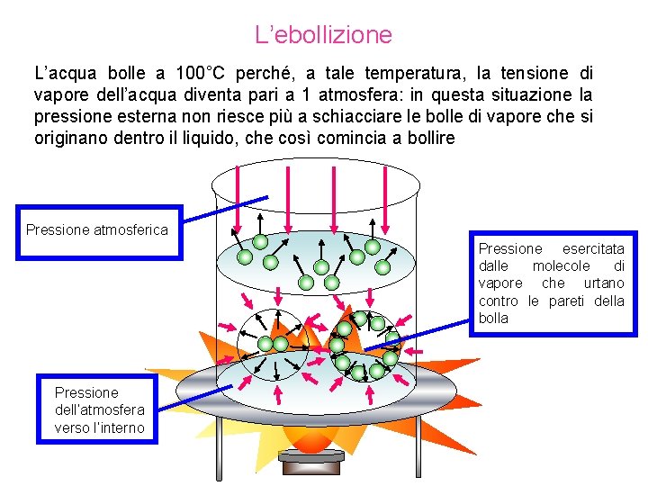 L’ebollizione L’acqua bolle a 100°C perché, a tale temperatura, la tensione di vapore dell’acqua L’ebollizione L’acqua bolle a 100°C perché, a tale temperatura, la tensione di vapore dell’acqua