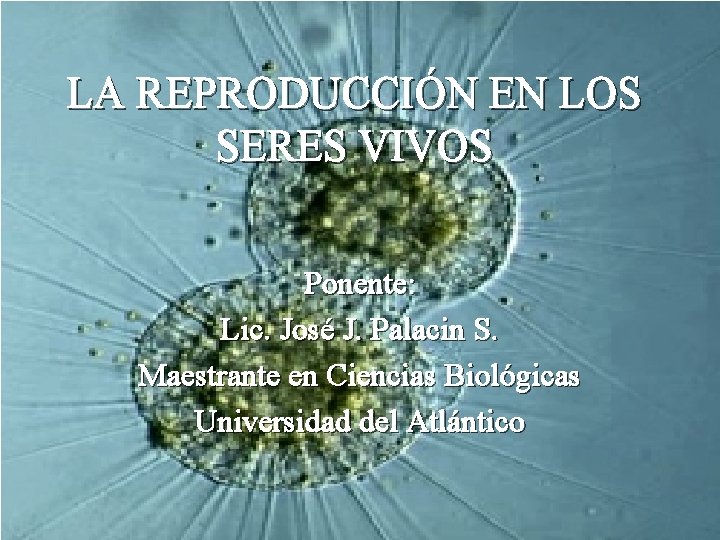 LA REPRODUCCIÓN EN LOS SERES VIVOS Ponente: Lic. José J. Palacin S. Maestrante en