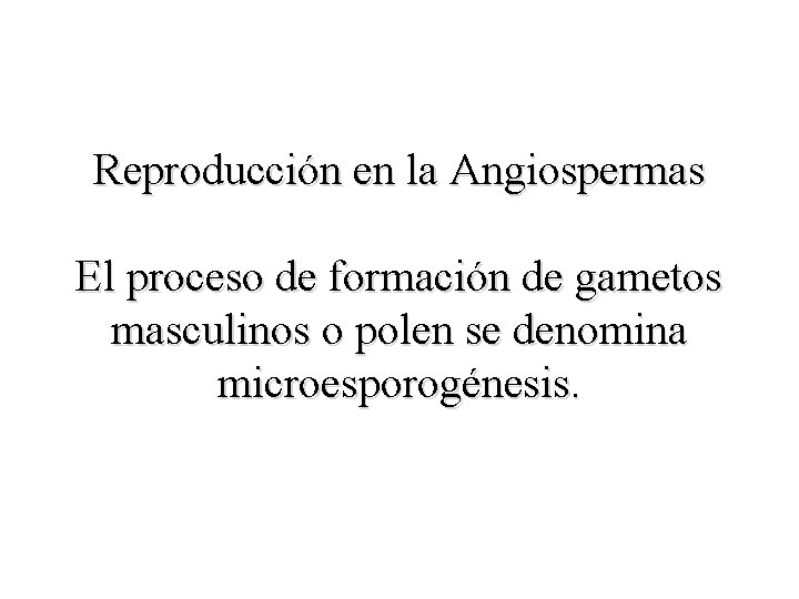 Reproducción en la Angiospermas El proceso de formación de gametos masculinos o polen se