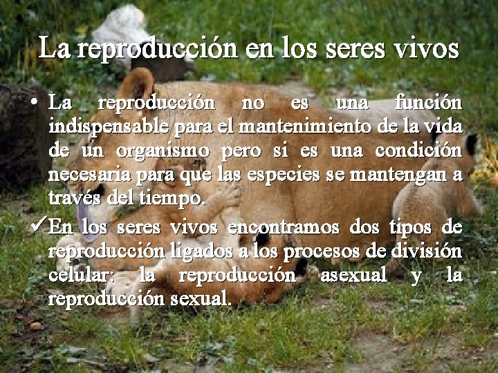 La reproducción en los seres vivos • La reproducción no es una función indispensable
