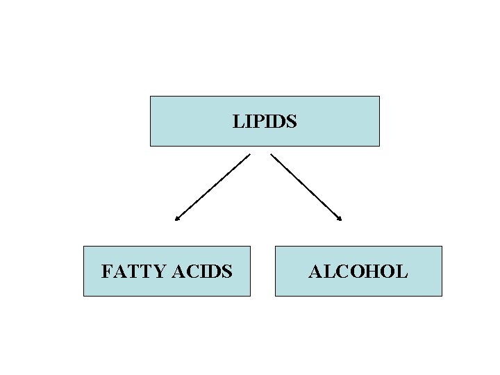 LIPIDS FATTY ACIDS ALCOHOL 