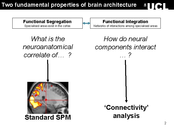 Two fundamental properties of brain architecture Functional Segregation Functional Integration Specialised areas exist in Two fundamental properties of brain architecture Functional Segregation Functional Integration Specialised areas exist in