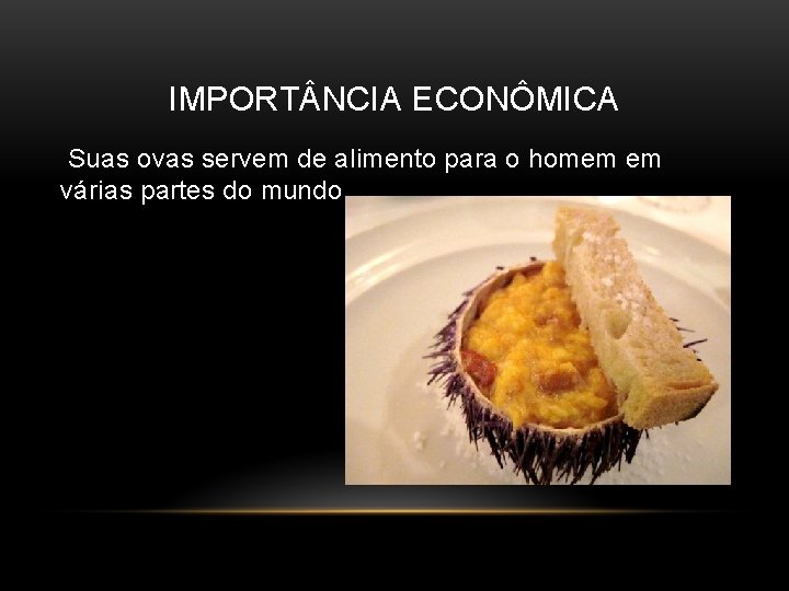 IMPORT NCIA ECONÔMICA Suas ovas servem de alimento para o homem em várias partes