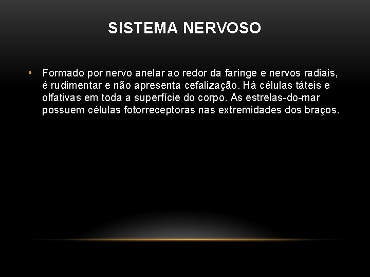 SISTEMA NERVOSO • Formado por nervo anelar ao redor da faringe e nervos radiais,