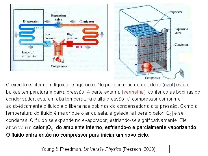 O circuito contém um líquido refrigerante. Na parte interna da geladeira (azul) está a