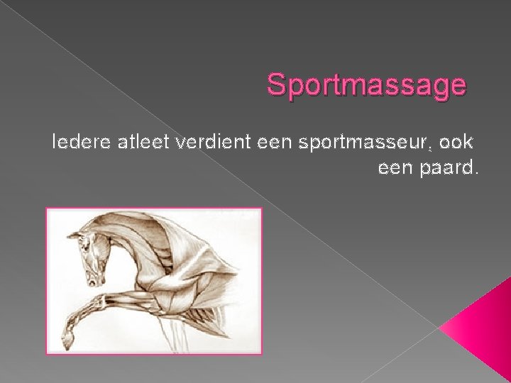 Sportmassage Iedere atleet verdient een sportmasseur, ook een paard. Sportmassage Iedere atleet verdient een sportmasseur, ook een paard.