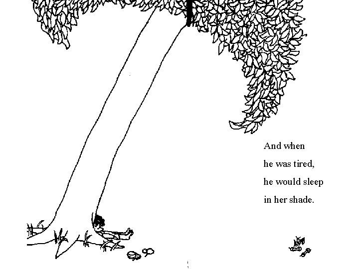 And when he was tired, he would sleep in her shade. And when he was tired, he would sleep in her shade.