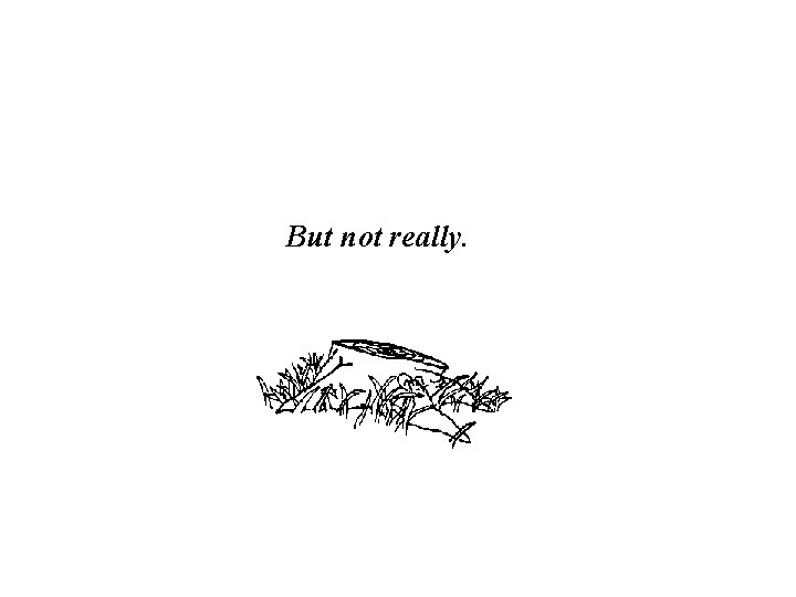 But not really. But not really.