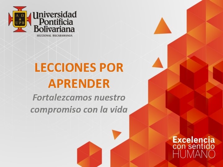 LECCIONES POR APRENDER Fortalezcamos nuestro compromiso con la vida LECCIONES POR APRENDER Fortalezcamos nuestro compromiso con la vida