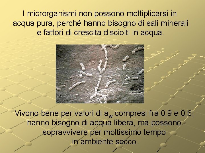 I microrganismi non possono moltiplicarsi in acqua pura, perché hanno bisogno di sali minerali I microrganismi non possono moltiplicarsi in acqua pura, perché hanno bisogno di sali minerali