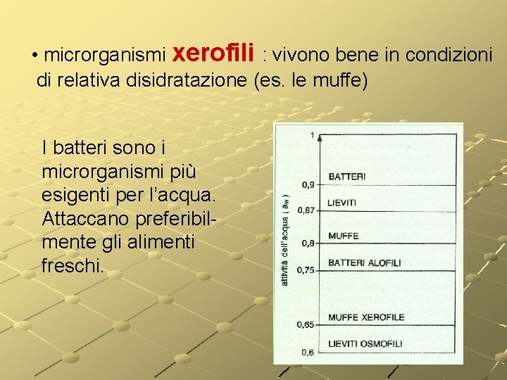 • microrganismi xerofili : vivono bene in condizioni di relativa disidratazione (es. le • microrganismi xerofili : vivono bene in condizioni di relativa disidratazione (es. le