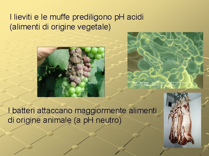 I lieviti e le muffe prediligono p. H acidi (alimenti di origine vegetale) I I lieviti e le muffe prediligono p. H acidi (alimenti di origine vegetale) I