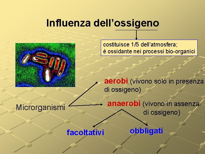 Influenza dell’ossigeno costituisce 1/5 dell’atmosfera; è ossidante nei processi bio-organici aerobi (vivono solo in Influenza dell’ossigeno costituisce 1/5 dell’atmosfera; è ossidante nei processi bio-organici aerobi (vivono solo in