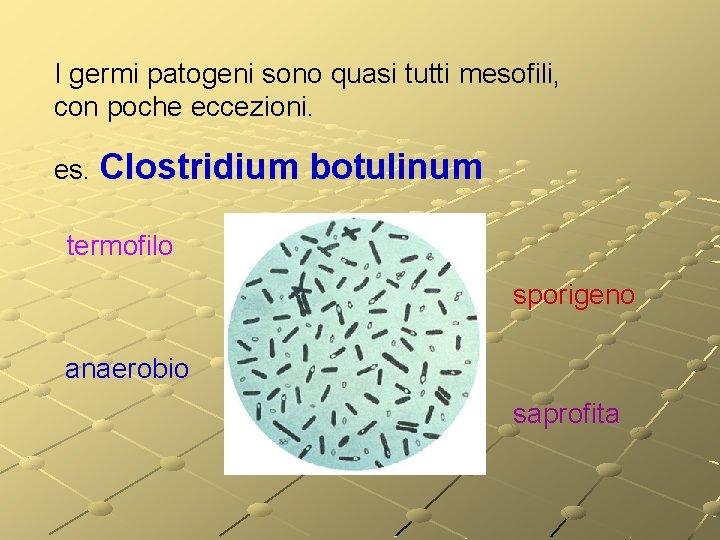 I germi patogeni sono quasi tutti mesofili, con poche eccezioni. es. Clostridium botulinum termofilo I germi patogeni sono quasi tutti mesofili, con poche eccezioni. es. Clostridium botulinum termofilo