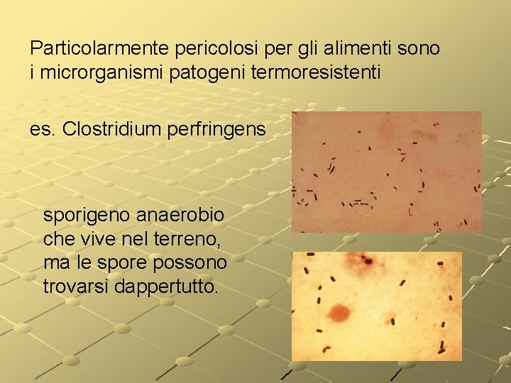 Particolarmente pericolosi per gli alimenti sono i microrganismi patogeni termoresistenti es. Clostridium perfringens sporigeno Particolarmente pericolosi per gli alimenti sono i microrganismi patogeni termoresistenti es. Clostridium perfringens sporigeno
