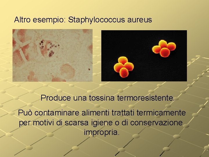 Altro esempio: Staphylococcus aureus Produce una tossina termoresistente. Può contaminare alimenti trattati termicamente per Altro esempio: Staphylococcus aureus Produce una tossina termoresistente. Può contaminare alimenti trattati termicamente per
