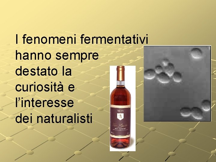 I fenomeni fermentativi hanno sempre destato la curiosità e l’interesse dei naturalisti I fenomeni fermentativi hanno sempre destato la curiosità e l’interesse dei naturalisti