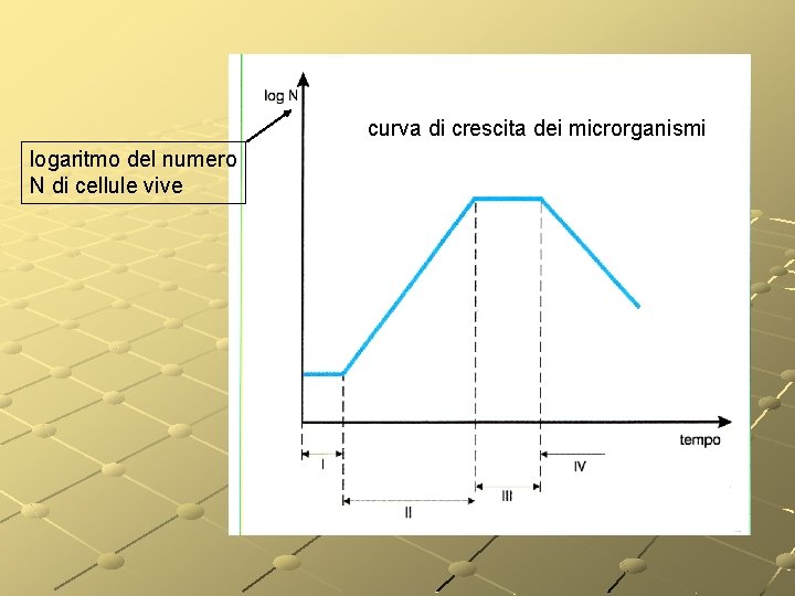 curva di crescita dei microrganismi logaritmo del numero N di cellule vive curva di crescita dei microrganismi logaritmo del numero N di cellule vive
