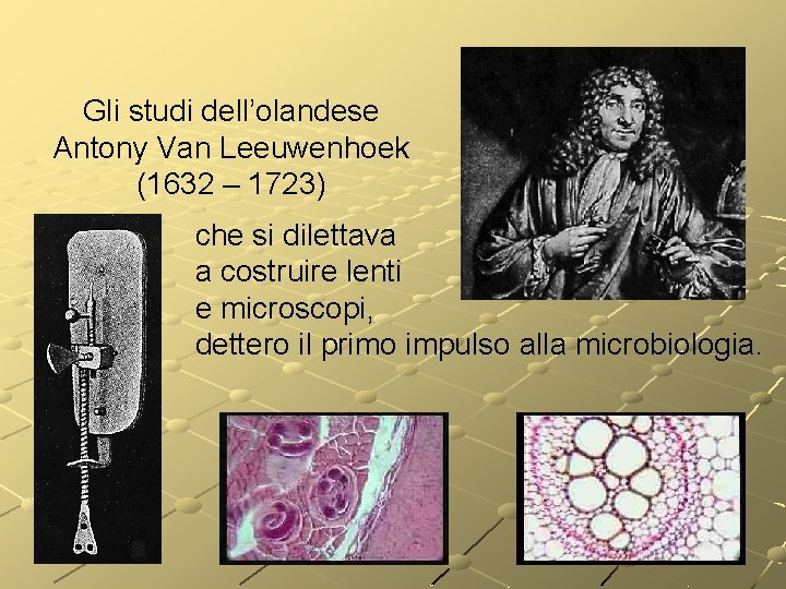 Gli studi dell’olandese Antony Van Leeuwenhoek (1632 – 1723) che si dilettava a costruire Gli studi dell’olandese Antony Van Leeuwenhoek (1632 – 1723) che si dilettava a costruire
