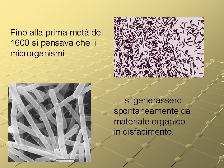 Fino alla prima metà del 1600 si pensava che i microrganismi… … si generassero Fino alla prima metà del 1600 si pensava che i microrganismi… … si generassero