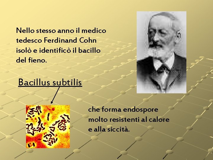 Nello stesso anno il medico tedesco Ferdinand Cohn isolò e identificò il bacillo del Nello stesso anno il medico tedesco Ferdinand Cohn isolò e identificò il bacillo del