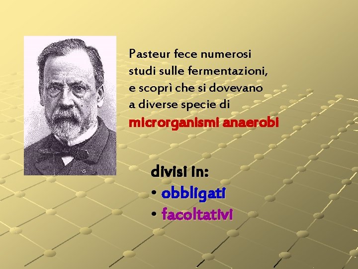 Pasteur fece numerosi studi sulle fermentazioni, e scoprì che si dovevano a diverse specie Pasteur fece numerosi studi sulle fermentazioni, e scoprì che si dovevano a diverse specie