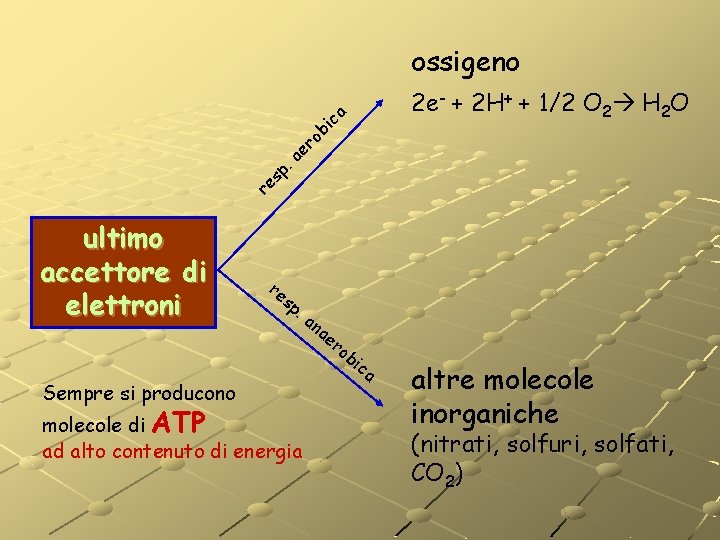 ossigeno re sp . a er ob i ca 2 e- + 2 H+ ossigeno re sp . a er ob i ca 2 e- + 2 H+