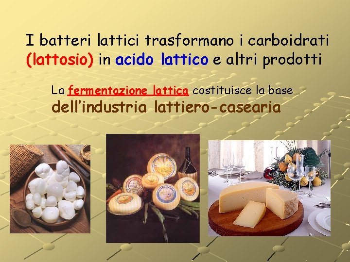 I batteri lattici trasformano i carboidrati (lattosio) in acido lattico e altri prodotti La I batteri lattici trasformano i carboidrati (lattosio) in acido lattico e altri prodotti La