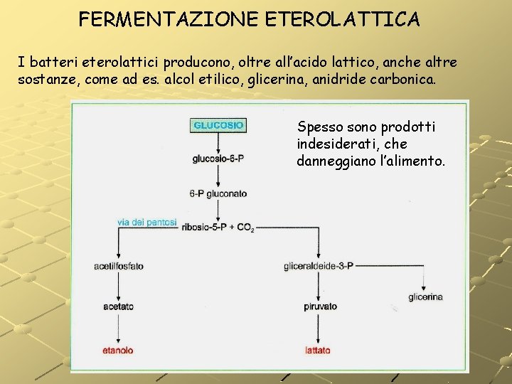 FERMENTAZIONE ETEROLATTICA I batteri eterolattici producono, oltre all’acido lattico, anche altre sostanze, come ad FERMENTAZIONE ETEROLATTICA I batteri eterolattici producono, oltre all’acido lattico, anche altre sostanze, come ad