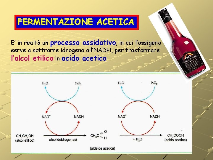 FERMENTAZIONE ACETICA E’ in realtà un processo ossidativo, in cui l’ossigeno serve a sottrarre FERMENTAZIONE ACETICA E’ in realtà un processo ossidativo, in cui l’ossigeno serve a sottrarre